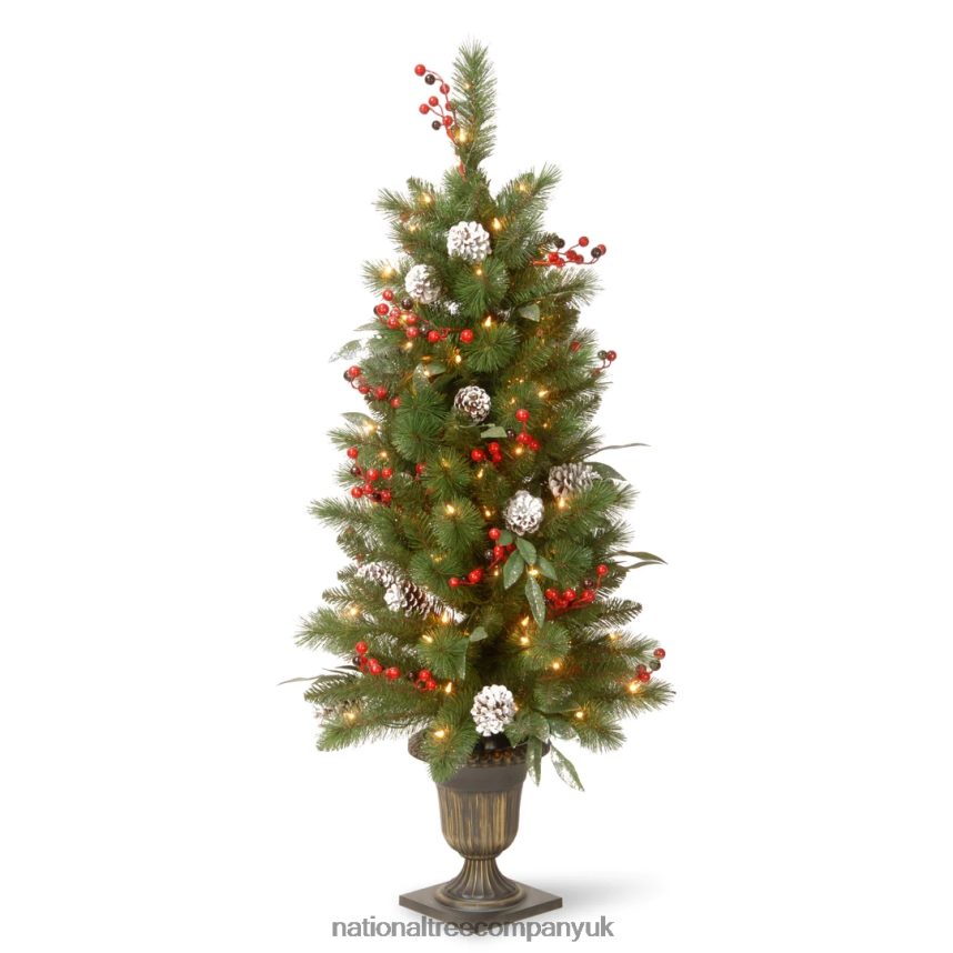 Trees | National Tree Company Pre-Lit Artificial Entrance Christmas Tree Frosted Berry Pine Green White Lights Decorated with Berry Clusters Pine Cones Includes Metal Base 4 Feet F2L4F101